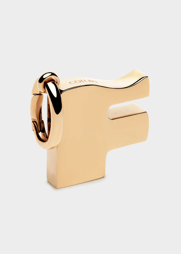 Coluri Letter F Charm