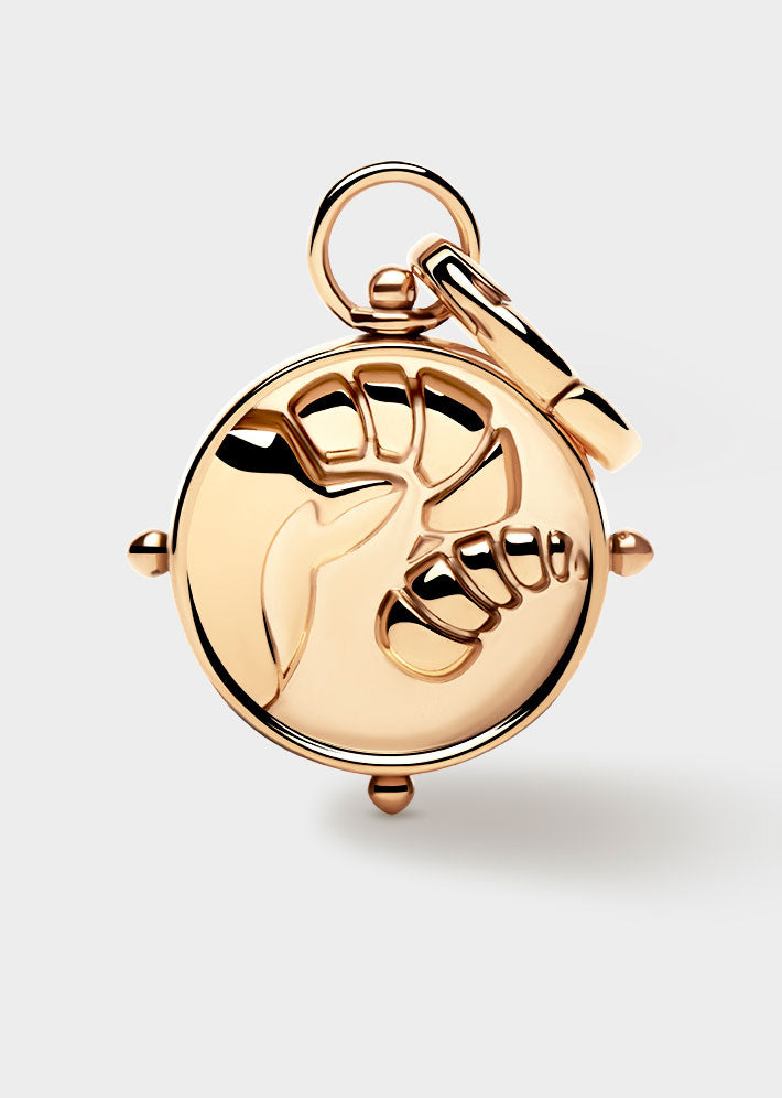 Coluri Aries Double-Sided Charm