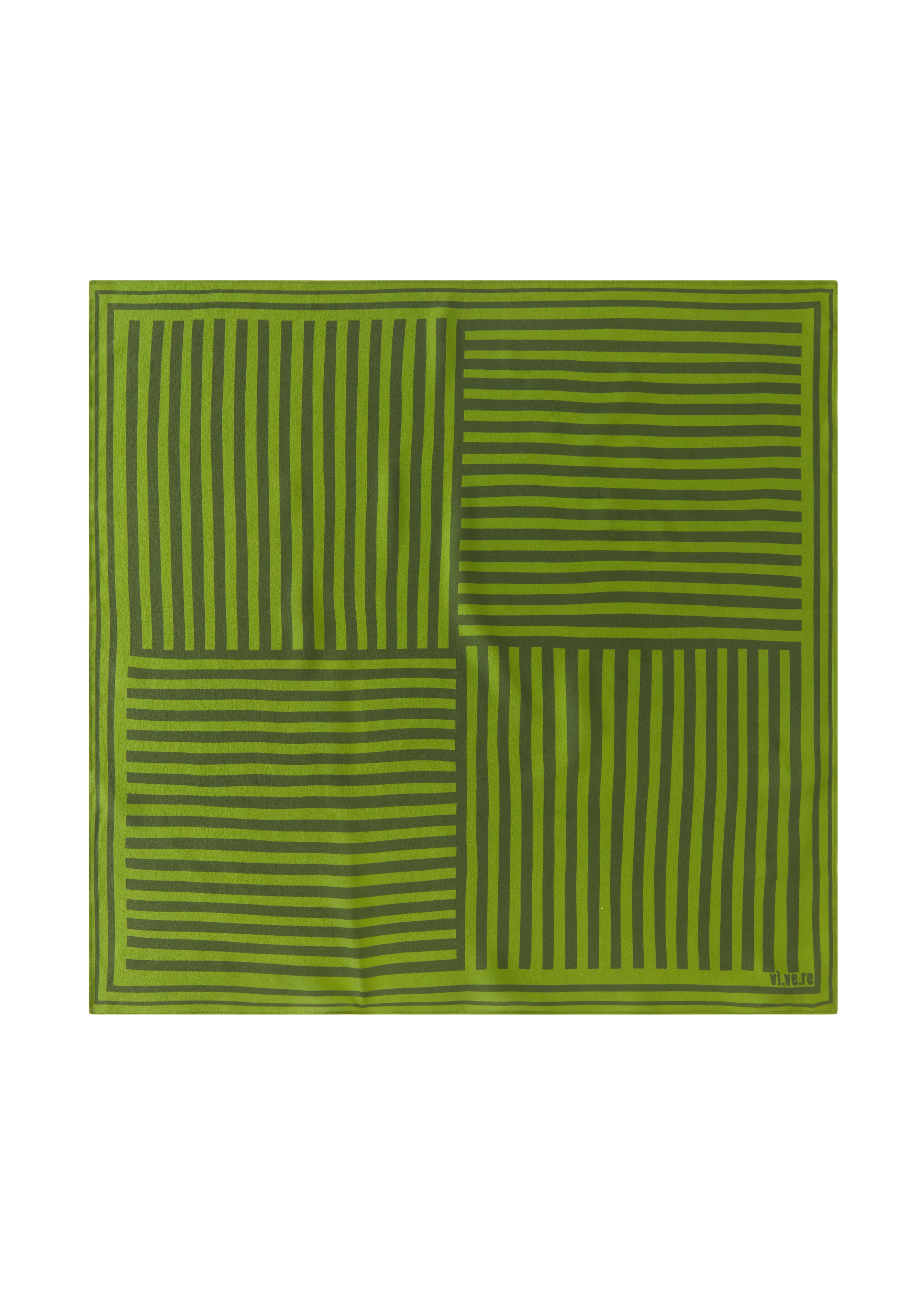VI.VE.RE Painted Stripe Scarf - Green