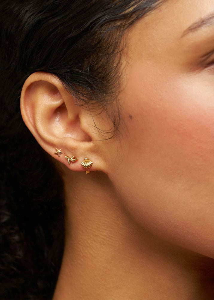 Orelia Close-up of the seahorse, shell, starfish and coral studs