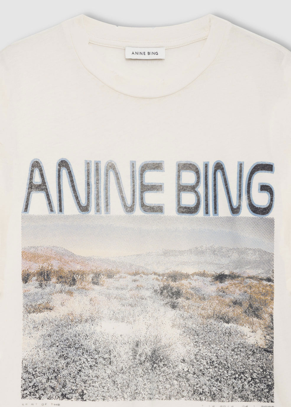 Anine Bing Cade Tee - Wildflowers
