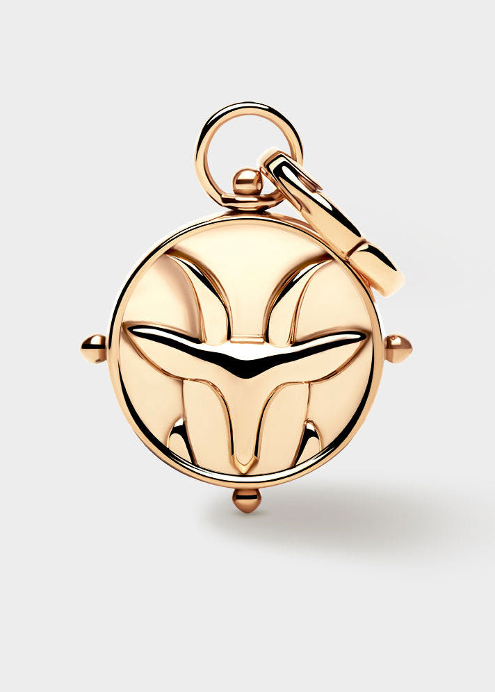 Coluri Capricorn Double-Sided Charm