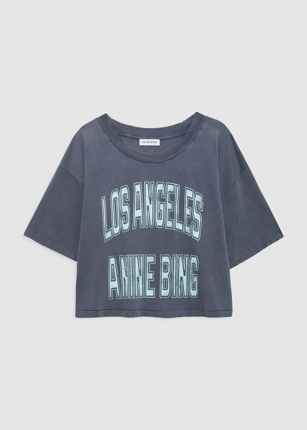 Anine Bing Johnny Cropped Tee